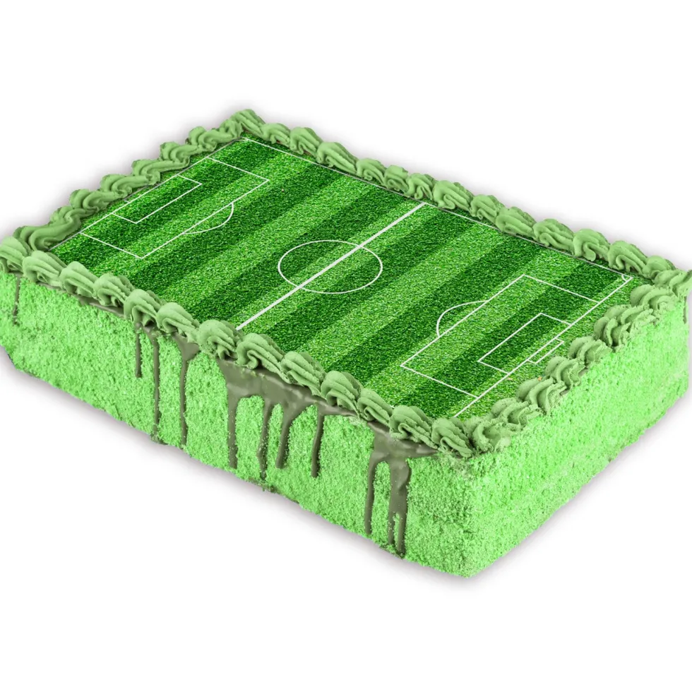 Tårtbild Fotbollsplan - Sockerpasta 15 x 21 cm